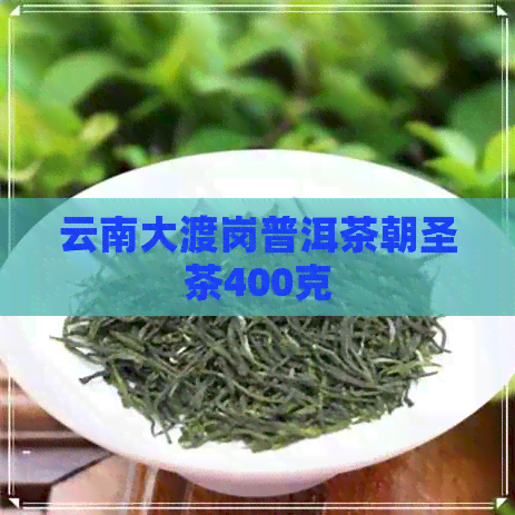 云南大渡岗普洱茶朝圣茶400克