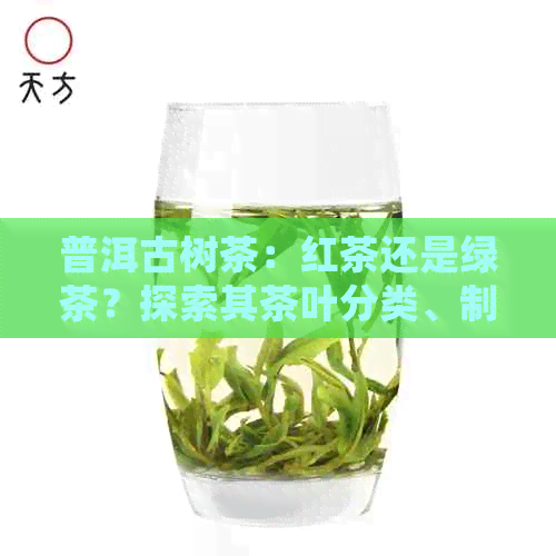 普洱古树茶：红茶还是绿茶？探索其茶叶分类、制作工艺以及健益处