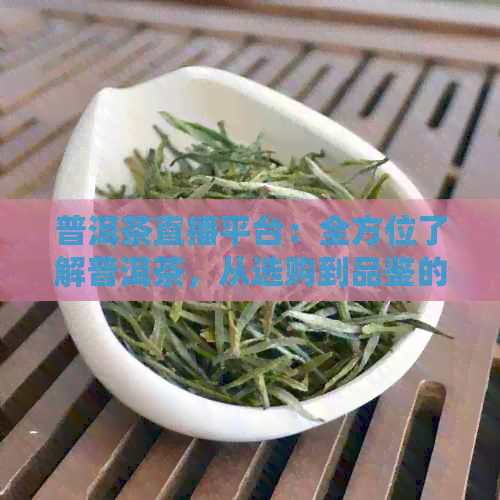 普洱茶直播平台：全方位了解普洱茶，从选购到品鉴的完整直播指南