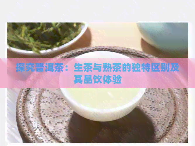 探究普洱茶：生茶与熟茶的独特区别及其品饮体验