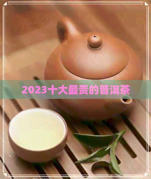 2023十大最贵的普洱茶