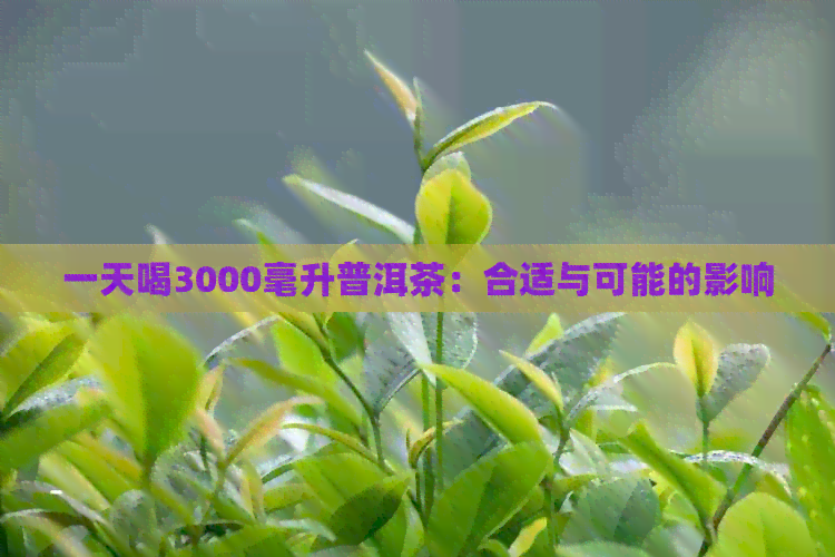 一天喝3000毫升普洱茶：合适与可能的影响