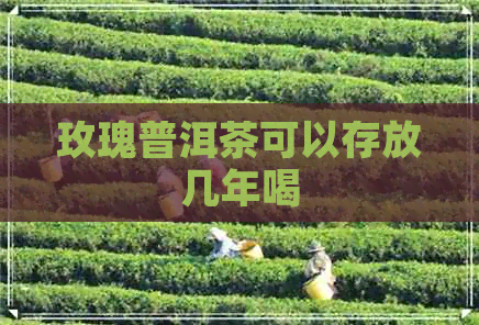 玫瑰普洱茶可以存放几年喝