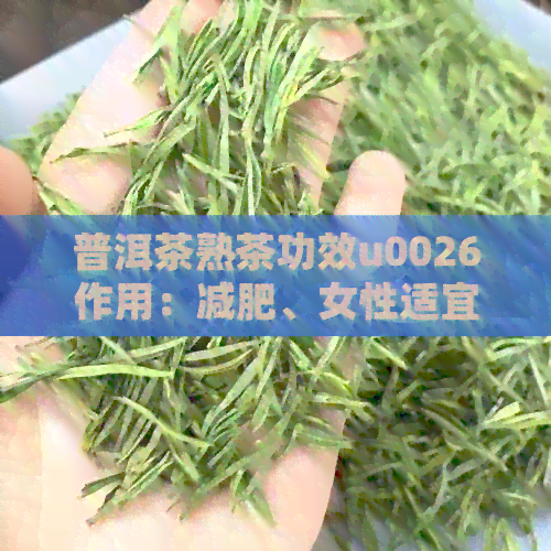 普洱茶熟茶功效u0026作用：减肥、女性适宜喝吗？