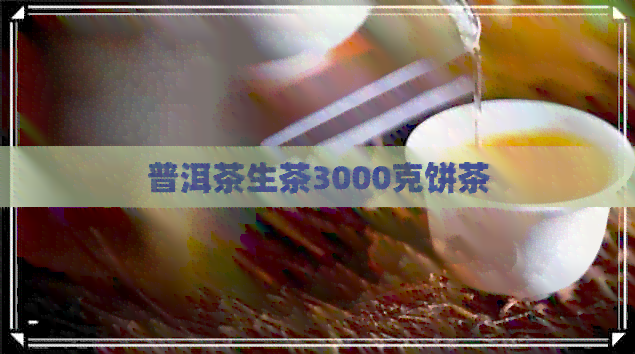 普洱茶生茶3000克饼茶