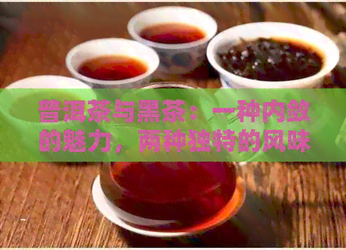 普洱茶与黑茶：一种内敛的魅力，两种独特的风味比较