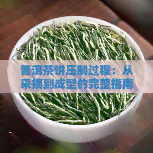 普洱茶饼压制过程：从采摘到成型的完整指南