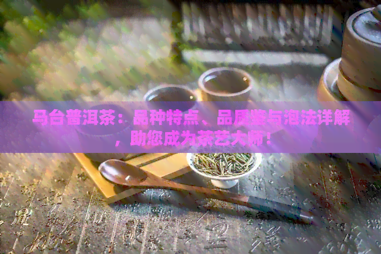 马台普洱茶：品种特点、品质鉴与泡法详解，助您成为茶艺大师！