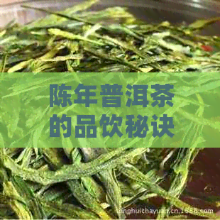 陈年普洱茶的品饮秘诀：如何才能喝出存放多年的好味道？