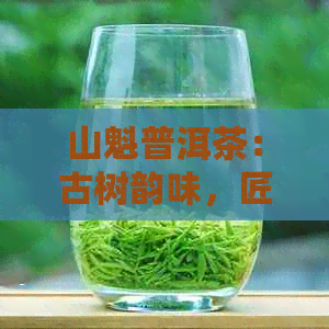 山魁普洱茶：古树韵味，匠心独运的品鉴之旅