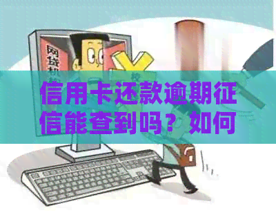 信用卡还款逾期能查到吗？如何查询？