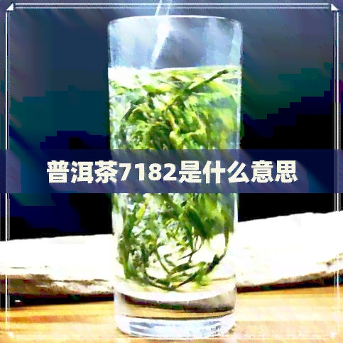 普洱茶7182是什么意思