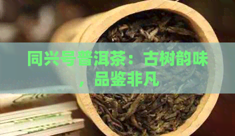 同兴号普洱茶：古树韵味，品鉴非凡