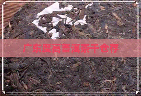 广东度高普洱茶干仓存