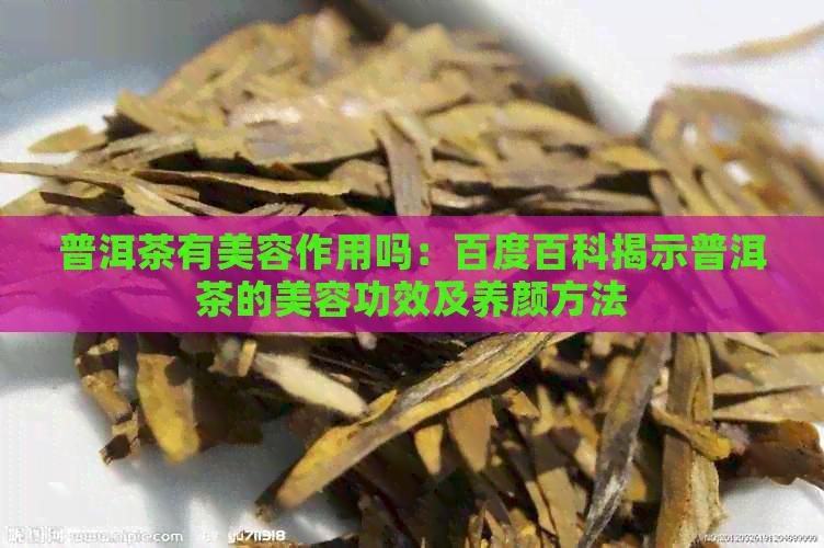 普洱茶有美容作用吗：百度百科揭示普洱茶的美容功效及养颜方法