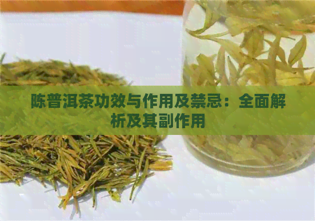 陈普洱茶功效与作用及禁忌：全面解析及其副作用