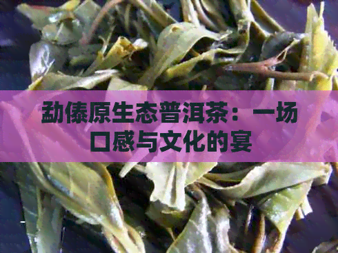 勐傣原生态普洱茶：一场口感与文化的宴