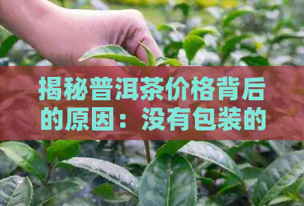 揭秘普洱茶价格背后的原因：没有包装的普洱茶为何如此昂贵？