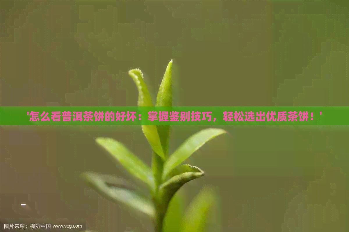 '怎么看普洱茶饼的好坏：掌握鉴别技巧，轻松选出优质茶饼！'