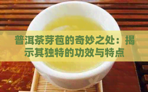 普洱茶芽苞的奇妙之处：揭示其独特的功效与特点