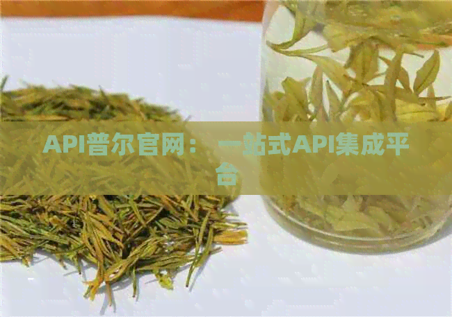 API普尔官网： 一站式API集成平台