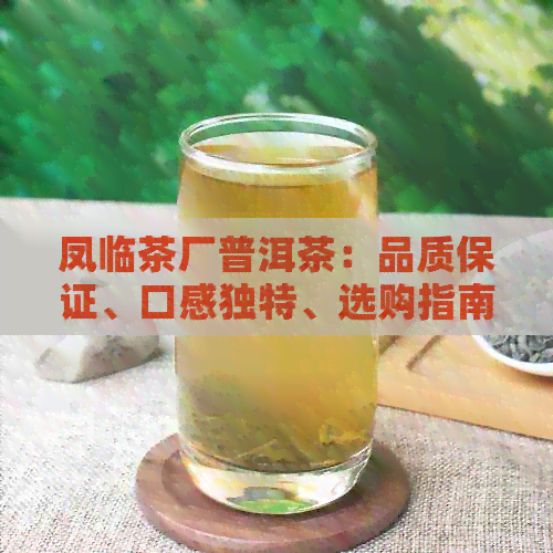 凤临茶厂普洱茶：品质保证、口感独特、选购指南与收藏建议