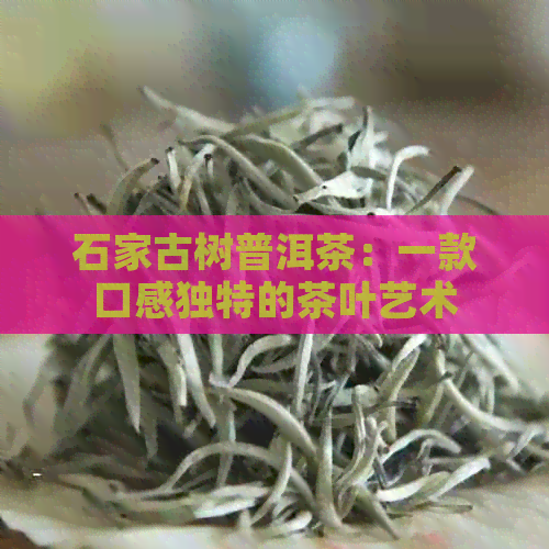 石家古树普洱茶：一款口感独特的茶叶艺术