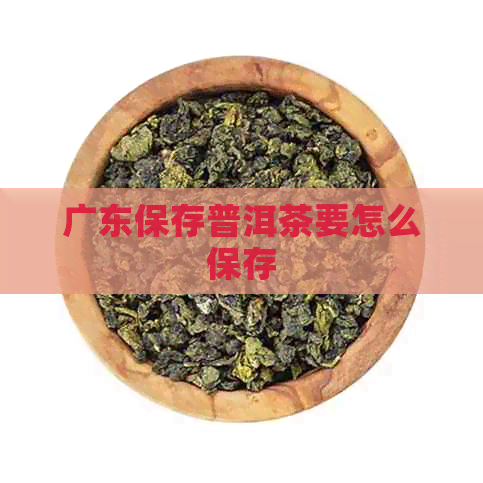 广东保存普洱茶要怎么保存