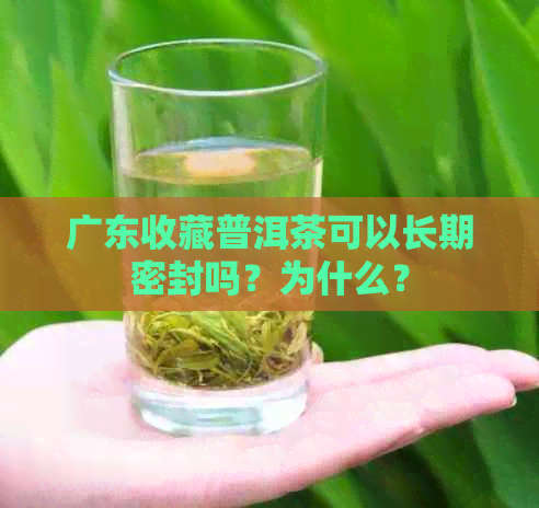 广东收藏普洱茶可以长期密封吗？为什么？