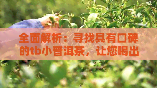 全面解析：寻找具有口碑的tb小普洱茶，让您喝出放心好茶！