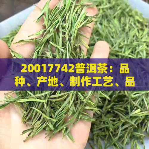 20017742普洱茶：品种、产地、制作工艺、品鉴方法与口感特点详解