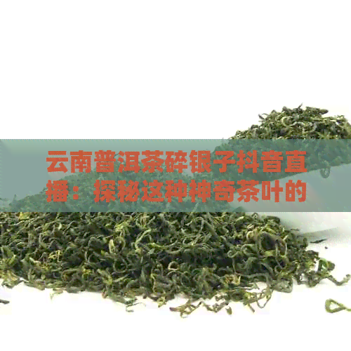 云南普洱茶碎银子抖音直播：探秘这种神奇茶叶的魅力所在