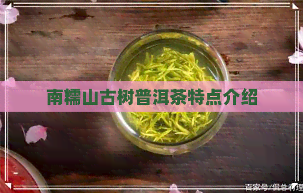 南糯山古树普洱茶特点介绍