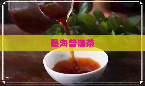 墨海普洱茶