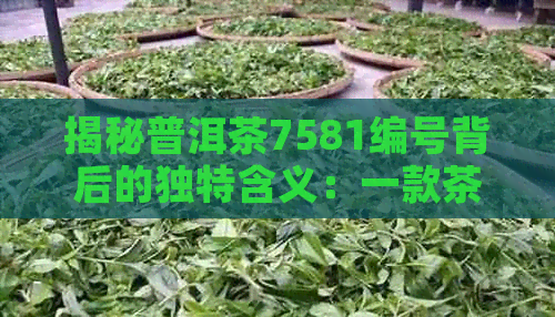 揭秘普洱茶7581编号背后的独特含义：一款茶的深度解读