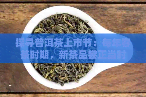 探寻普洱茶上市节：每年春茶时期，新茶品尝正当时