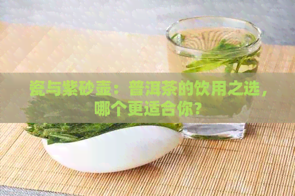 瓷与紫砂壶：普洱茶的饮用之选，哪个更适合你？