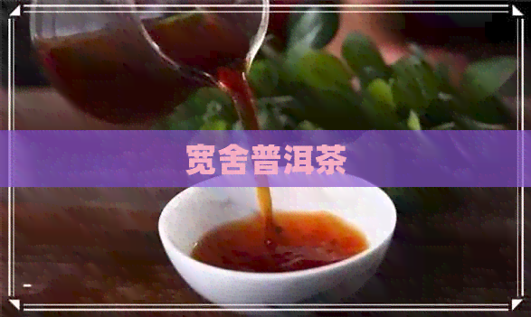 宽舍普洱茶