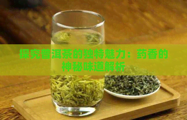 探究普洱茶的独特魅力：药香的神秘味道解析