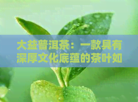 大益普洱茶：一款具有深厚文化底蕴的茶叶如何解释其含义与区别