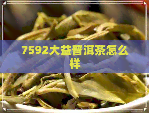 7592大益普洱茶怎么样