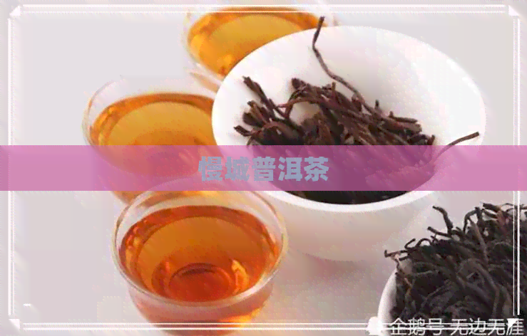 慢城普洱茶