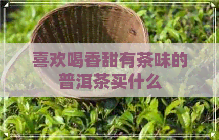 喜欢喝香甜有茶味的普洱茶买什么