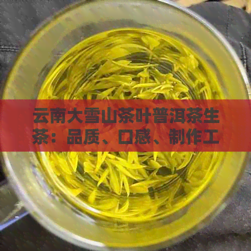 云南大雪山茶叶普洱茶生茶：品质、口感、制作工艺及冲泡方法的全面解析