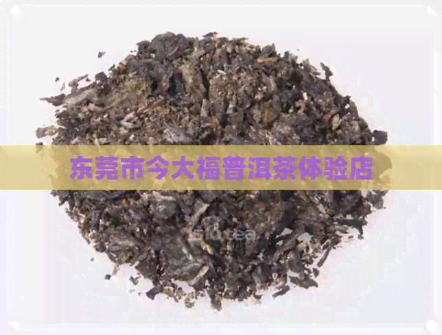 东莞市今大福普洱茶体验店