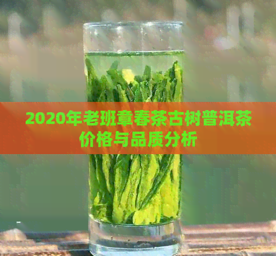 2020年老班章春茶古树普洱茶价格与品质分析