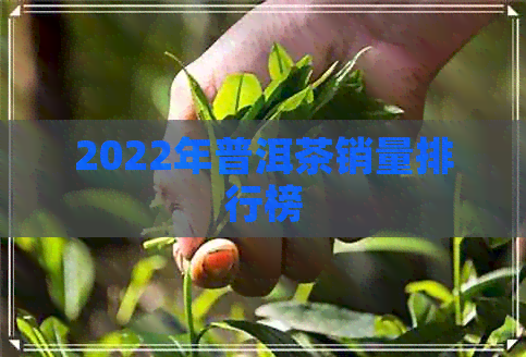 2022年普洱茶销量排行榜