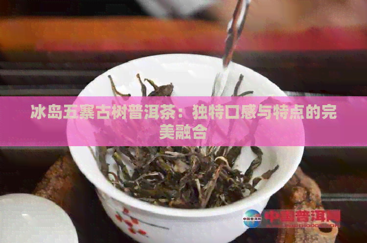 冰岛五寨古树普洱茶：独特口感与特点的完美融合