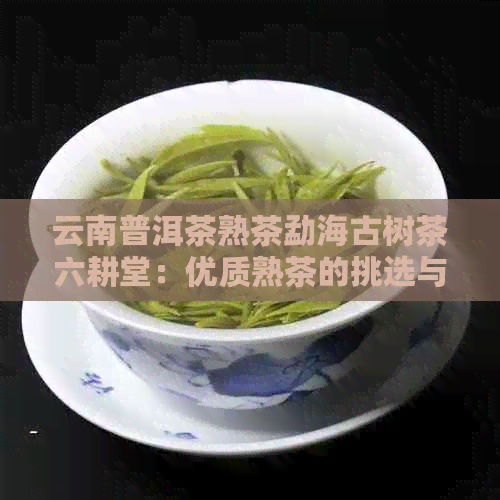 云南普洱茶熟茶勐海古树茶六耕堂：优质熟茶的挑选与品鉴