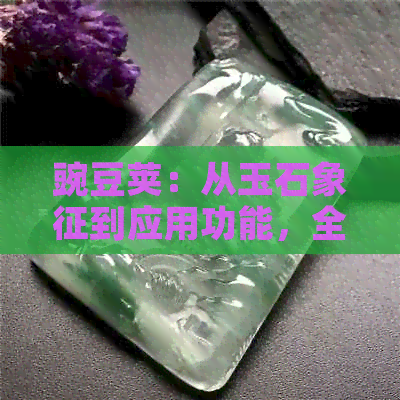 豌豆荚：从玉石象征到应用功能，全面解读与解析